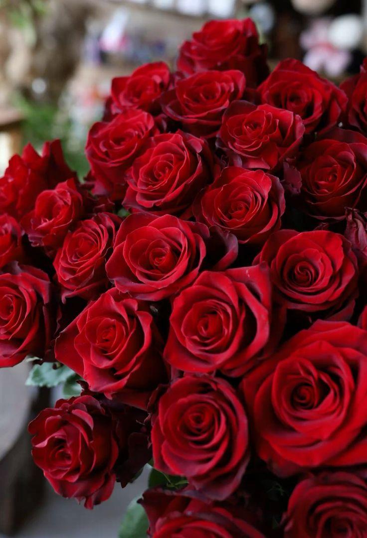 Dune Cliff Shale workshop space where corporate flower arrangements are designed and prepared for business delivery